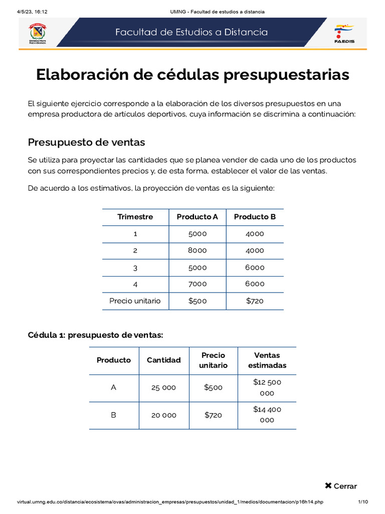 Elaboración de Cédulas Presupuestarias | PDF | Presupuesto