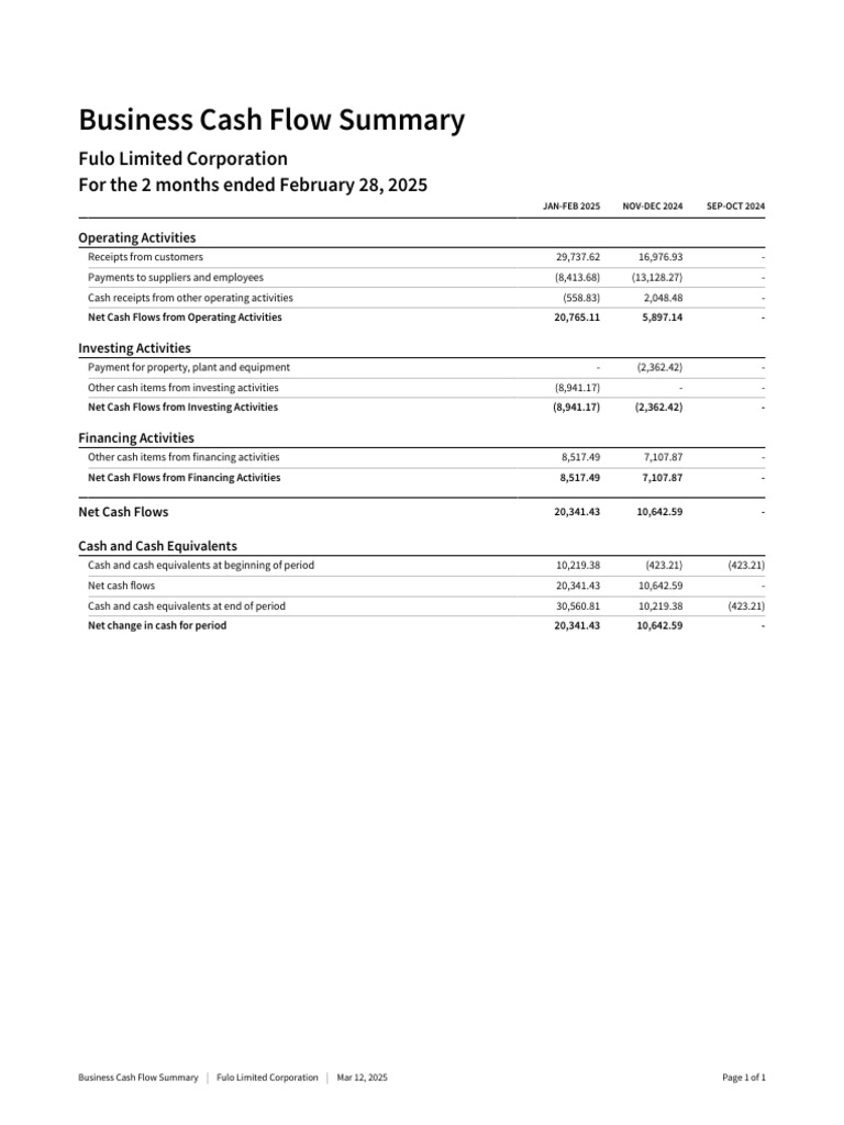 Fulo Limited Corporation - Business Cash Flow Summary | PDF