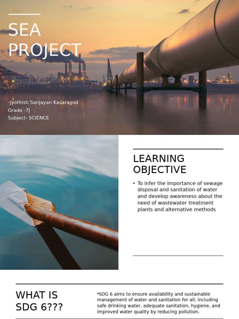 SEA Project | PDF