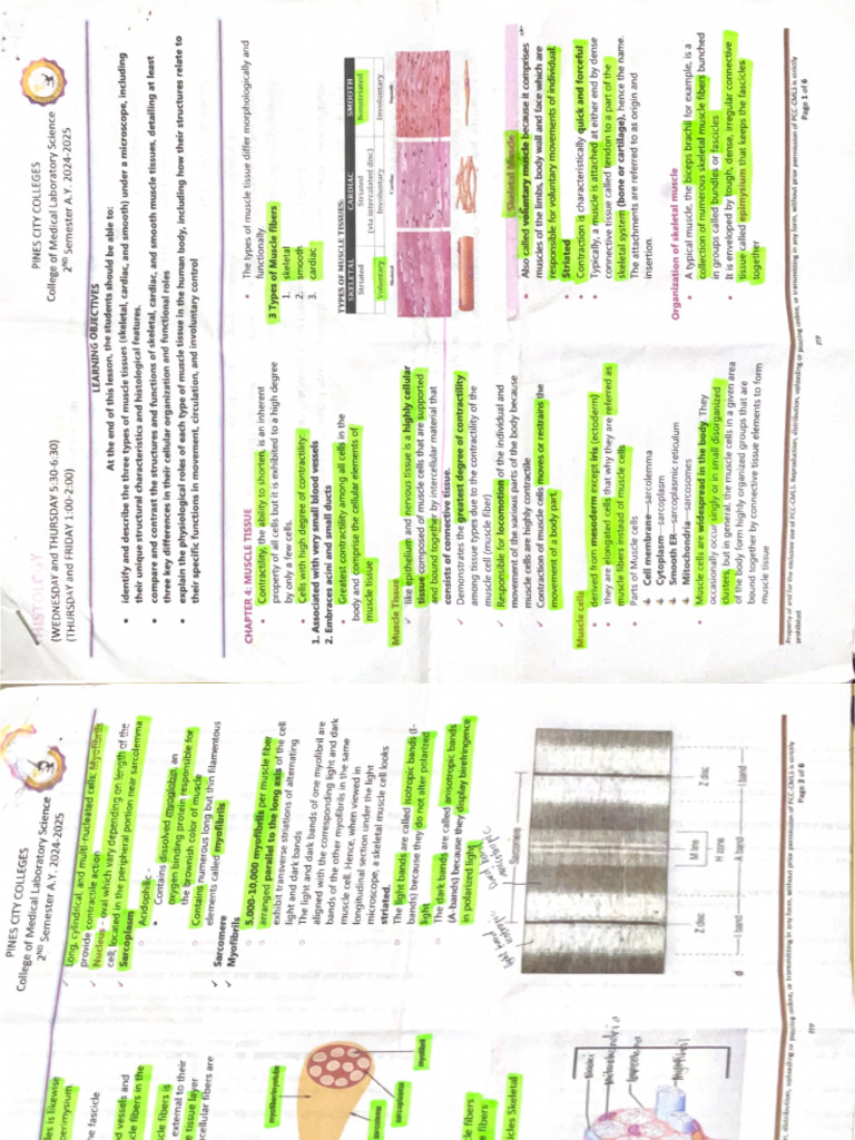 Scanned Document 2025-03-19 at 3.15.41 PM | PDF