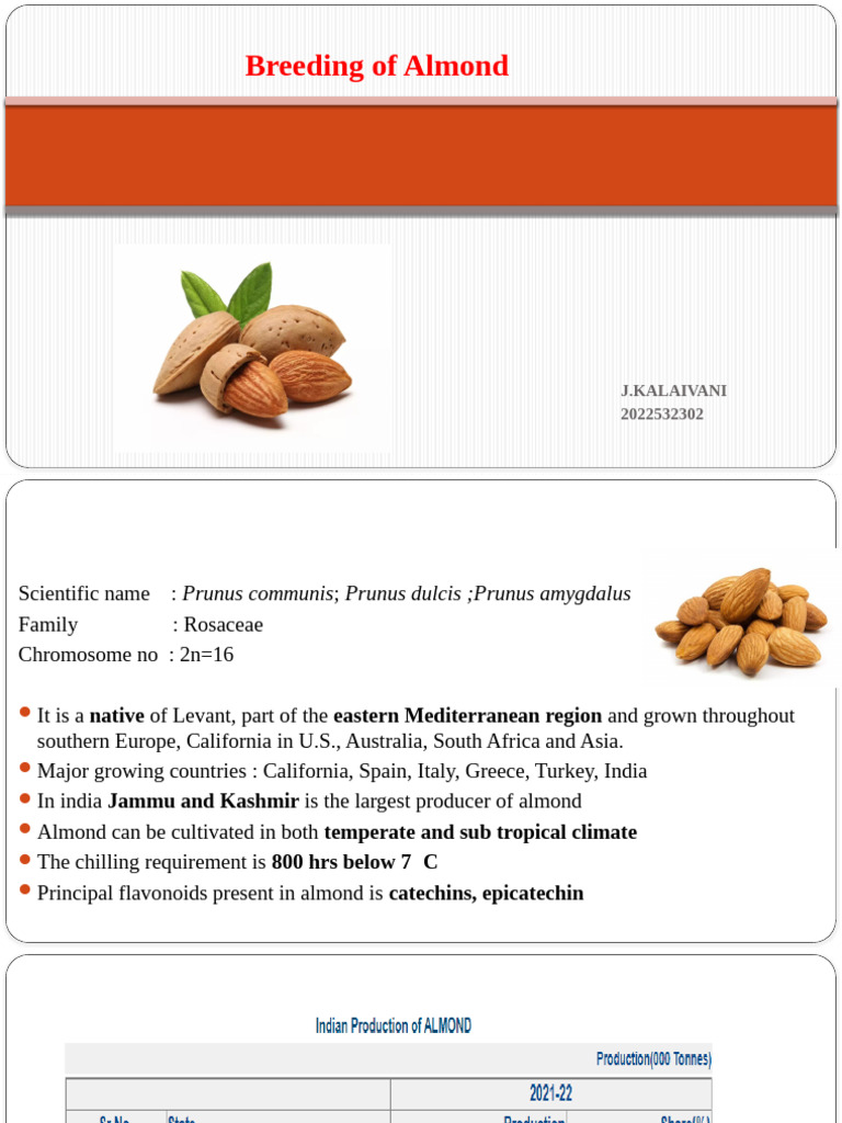 Almond Breeding and Cultivation Insights | PDF | Flowers | Almond
