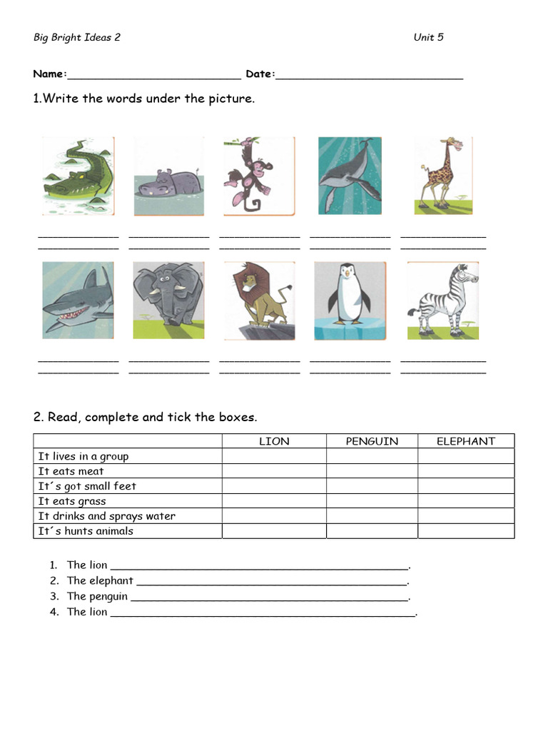 Unit 5 Test for Big Bright Ideas 2 | PDF