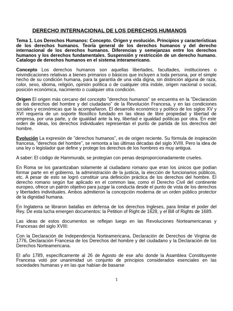 Derecho Internacional de Los Derechos Humanos | PDF | Derechos humanos ...