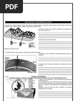 Geologia e Geomorfologia Aberta