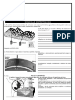 Geologia e Geomorfologia Aberta