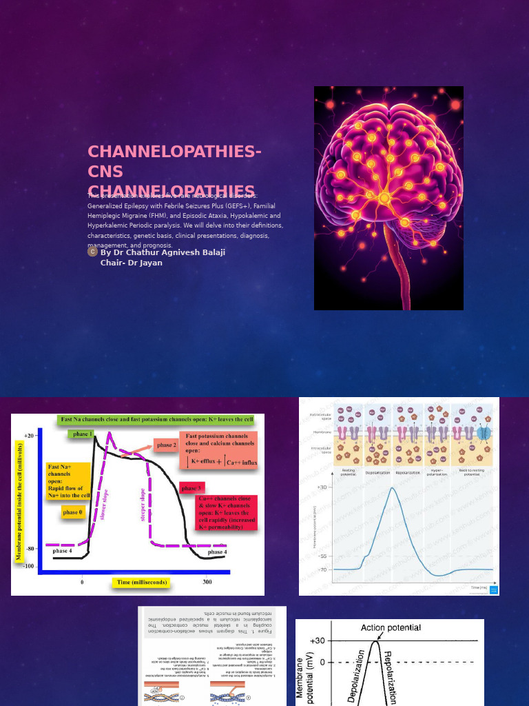 Overview of Rare Channelopathies | PDF | Epilepsy | Diseases And Disorders