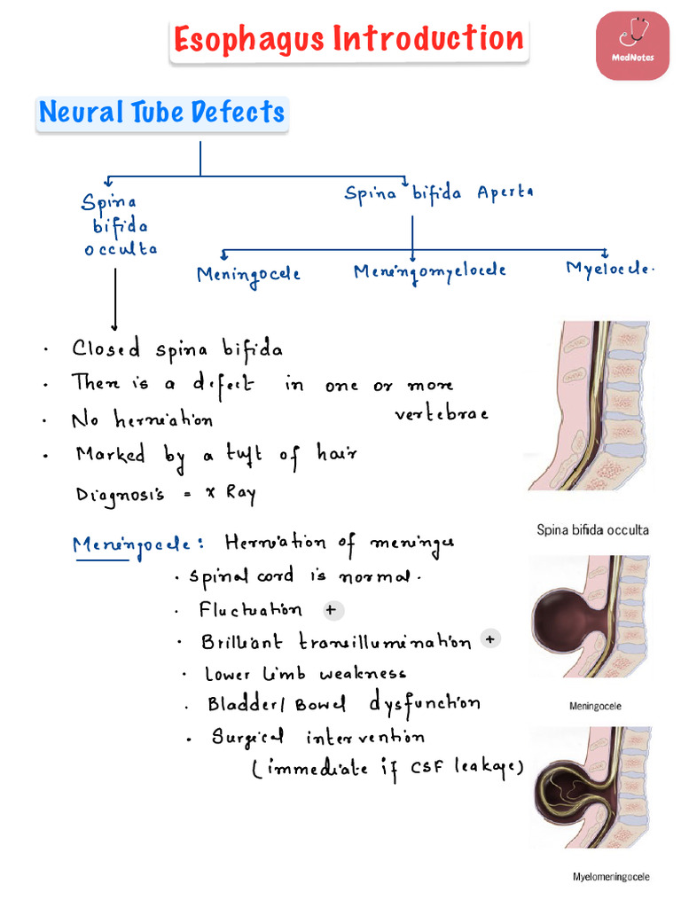 Neurosurgery - MedNotes | PDF | Medical Specialties | Nervous System