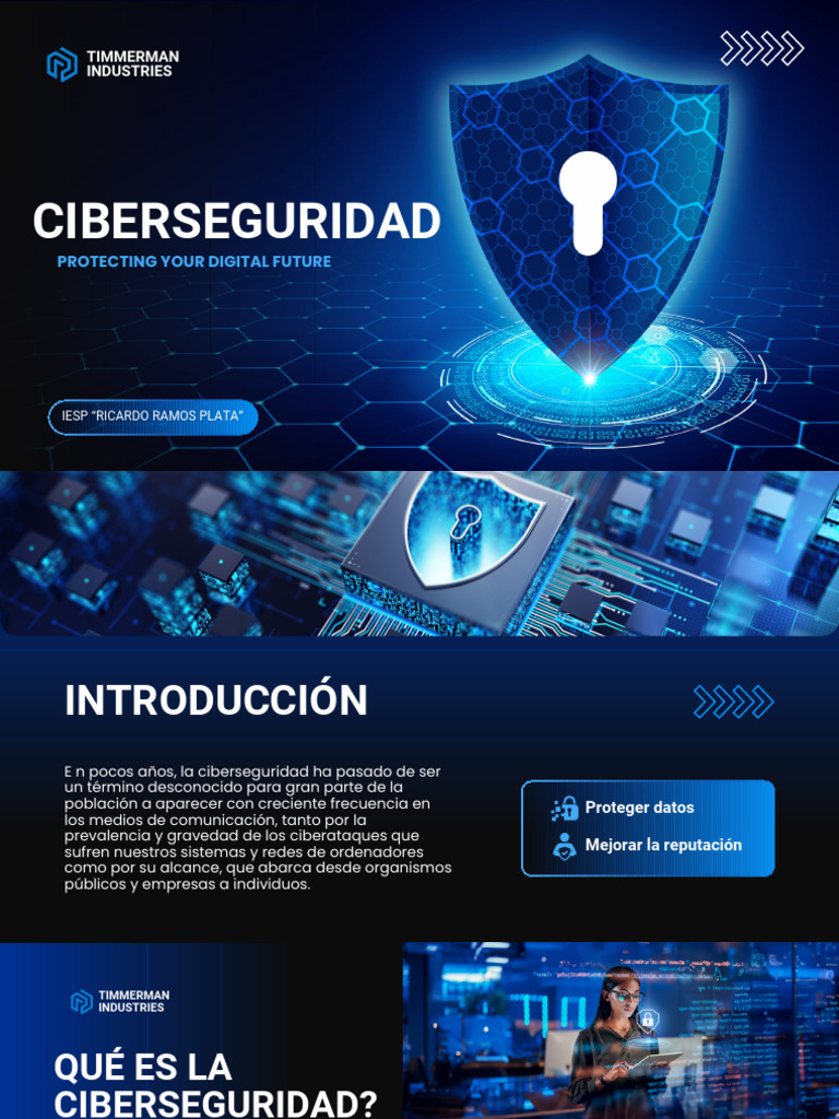 Importancia y Medidas de Ciberseguridad | PDF | Seguridad | La ...