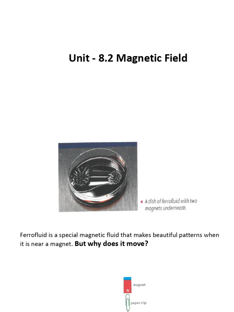 Understanding Magnetic Fields and Patterns | PDF