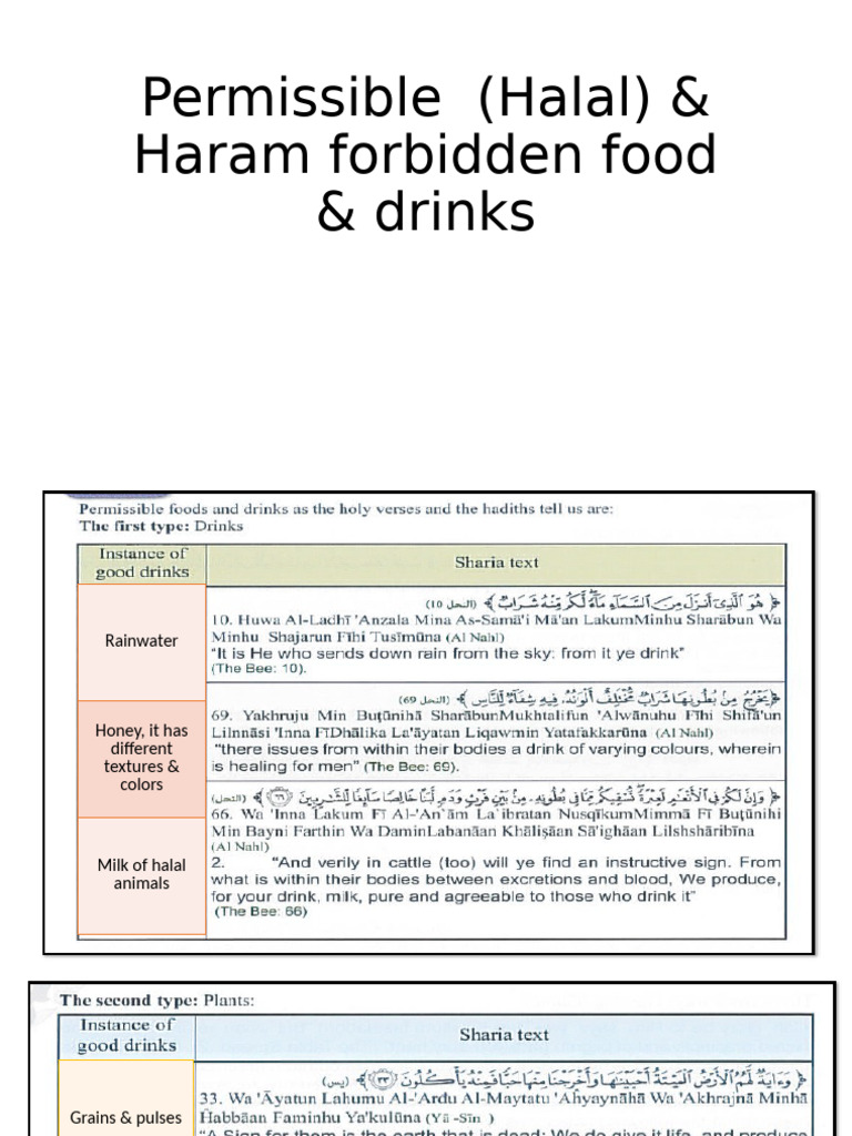 Permissible Haram Forbidden Food and Drinks | PDF