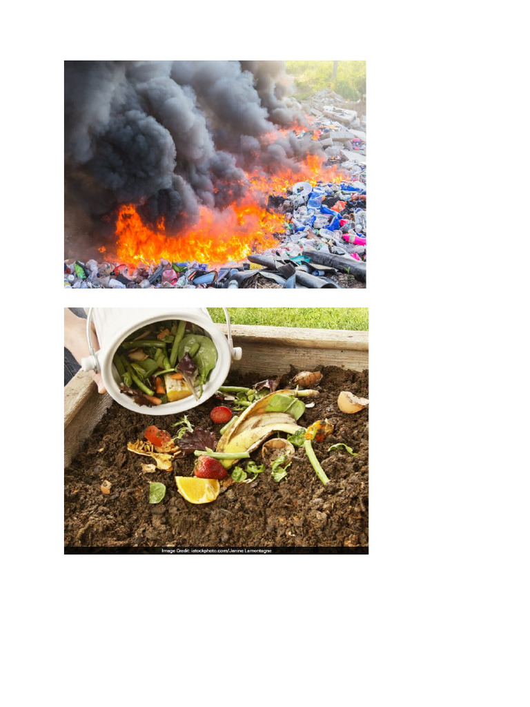Garbage | PDF