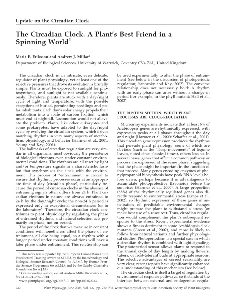Understanding Plant Circadian Clocks | PDF | Circadian Rhythm | Clock