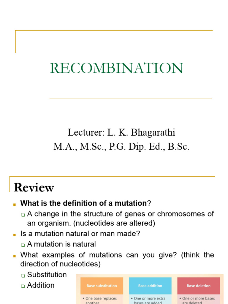 Types of Genetic Recombination Explained | PDF | Meiosis | Genetic ...