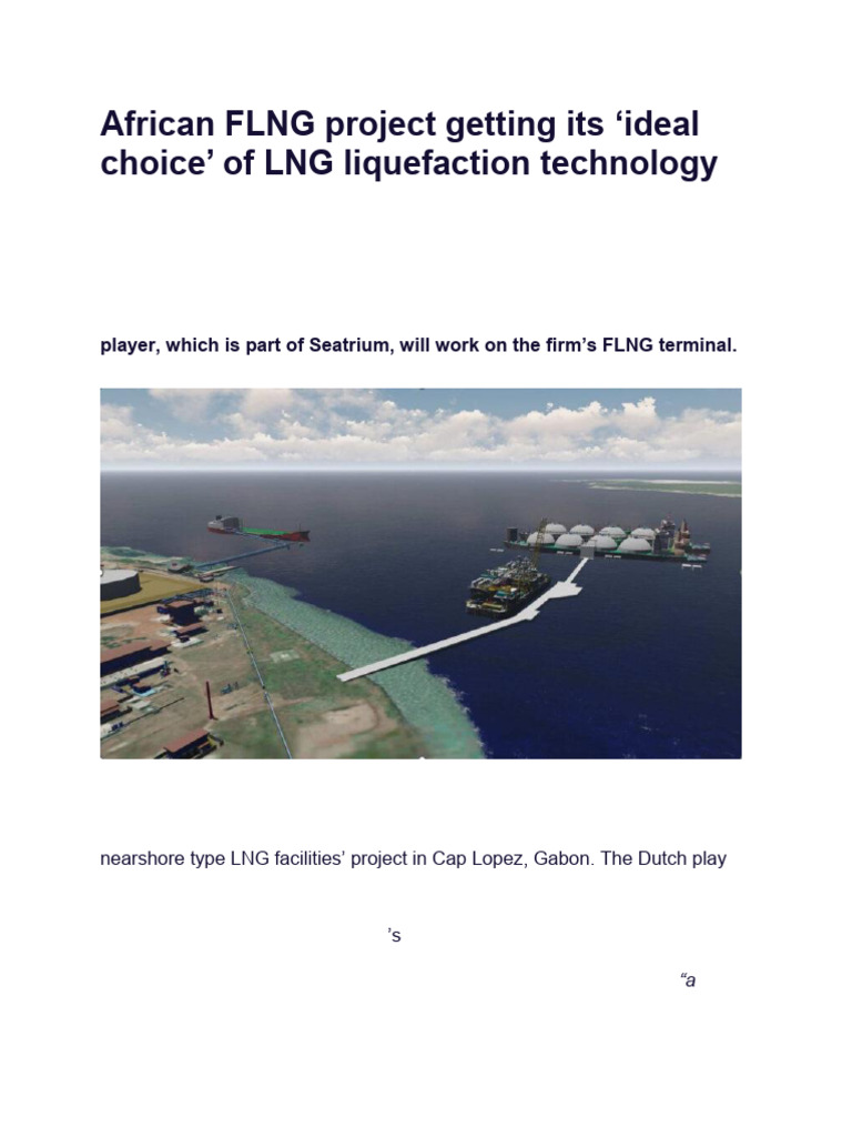 Perenco's Cap Lopez FLNG Project Update | PDF | Liquefied Natural Gas ...