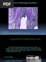 Anatomia e Histologia Dentária I final