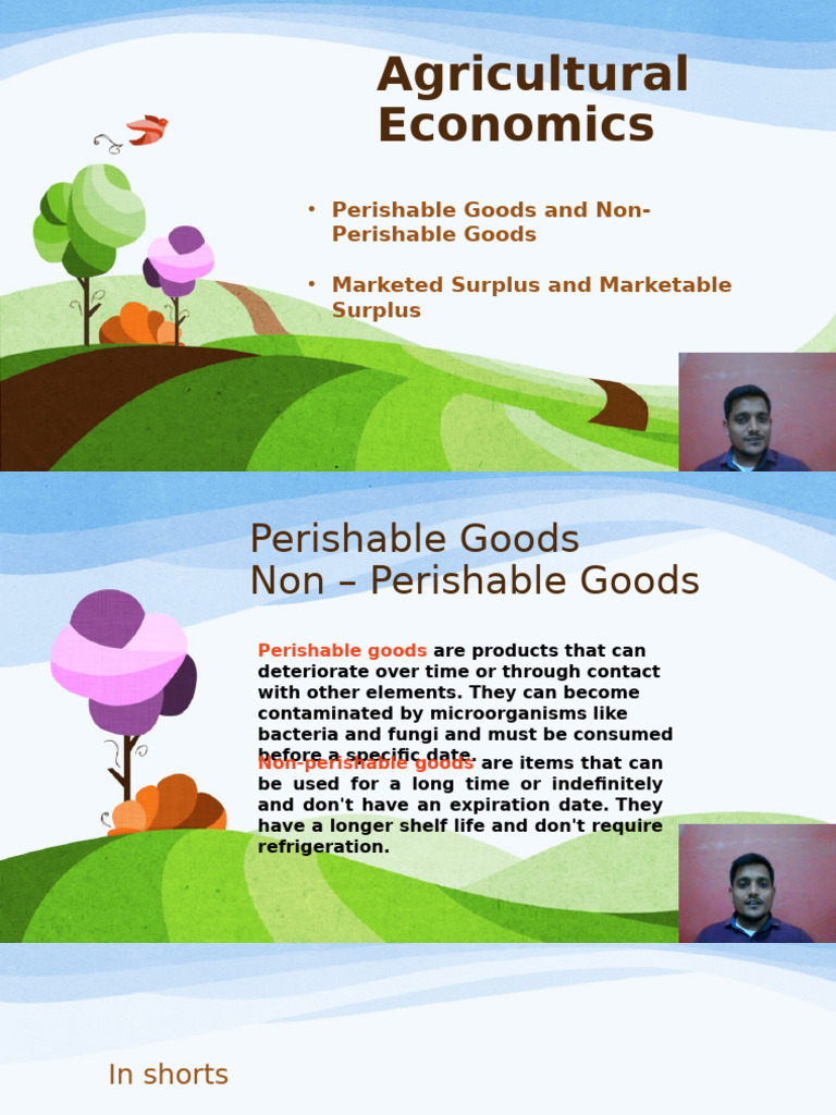 Perishable vs Non-Perishable Goods Explained | PDF