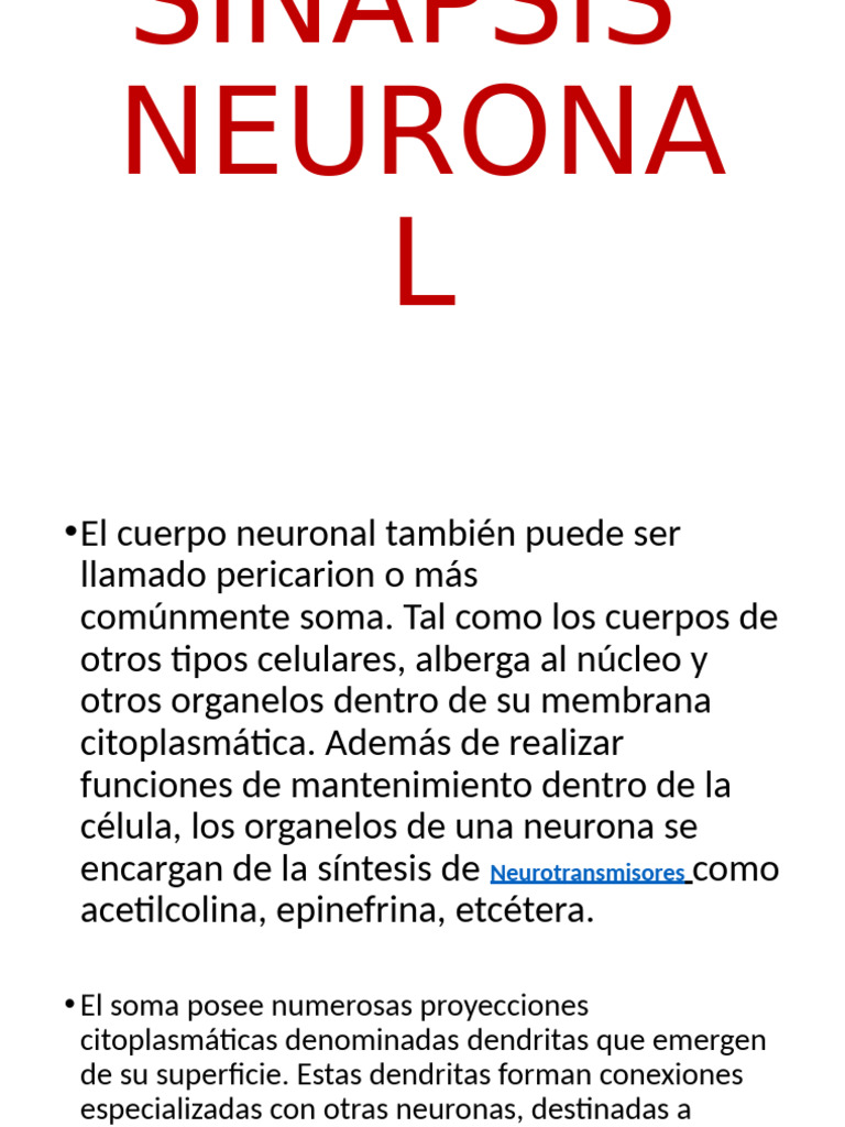 Tema 3 - 2 Sinapsis Neuronal | PDF | Sinapsis | Axon