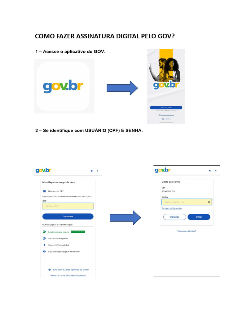 Assinatura Digital pelo GOV: Passo a Passo | PDF