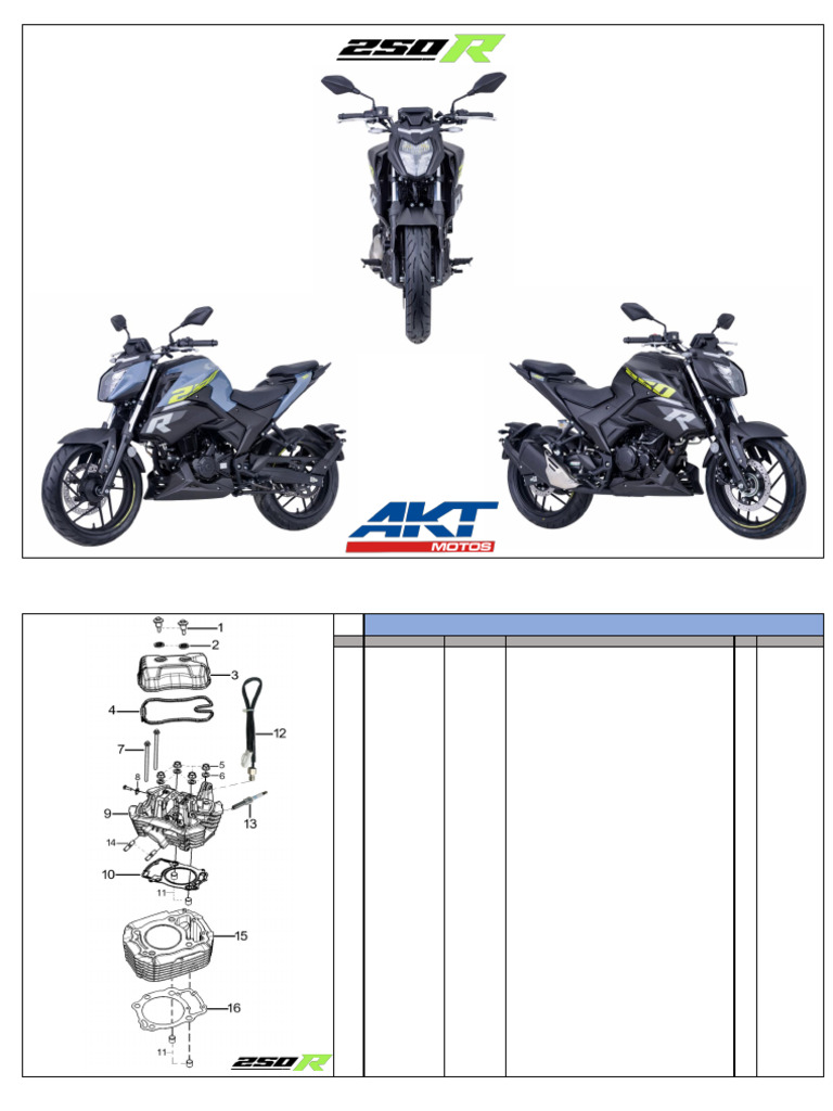250R | PDF