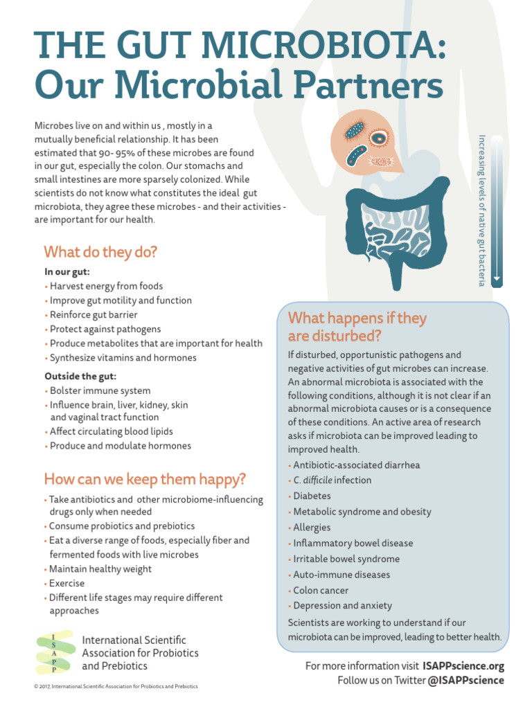 2019 Gut Microbiota ISAPP | PDF | Gastrointestinal Tract | Probiotic