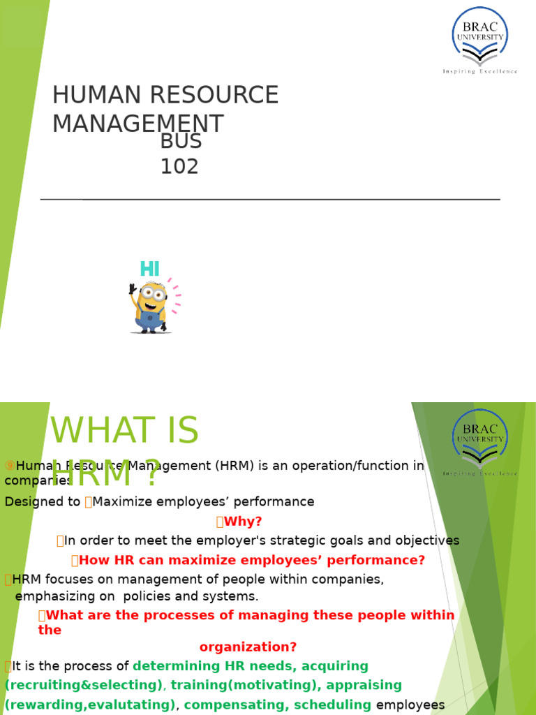 Chapter 7 Human Resource Management (HRM) | PDF | Human Resource ...