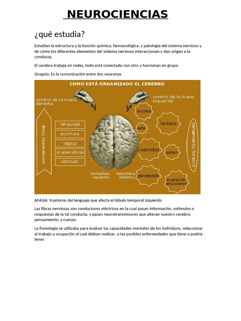 Introducción a las Neurociencias | PDF | Cerebro | Hipotálamo