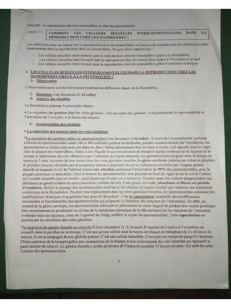 Image To PDF 20240105 1232 | PDF