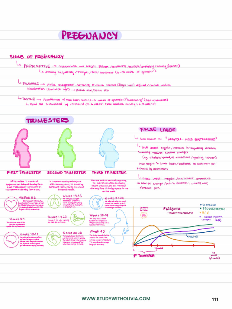 Pregnancy | PDF