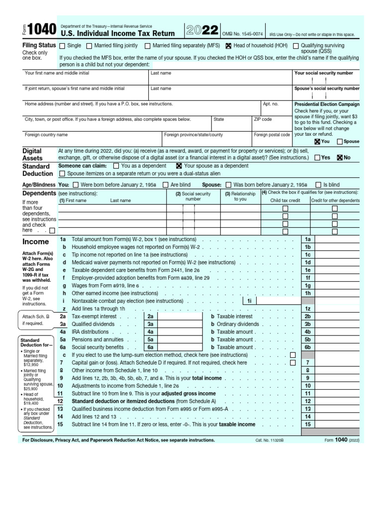 U.S. Individual Income Tax Return: Shawn Agnone 562 53 8482 | PDF | Irs ...