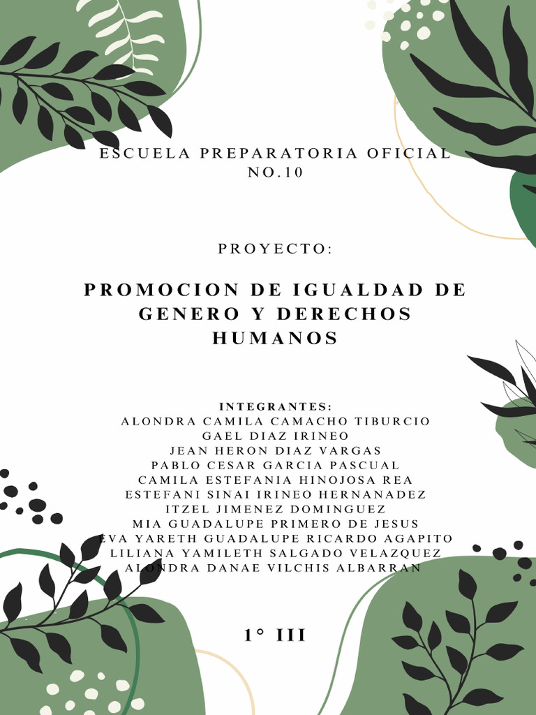 Promocion de la igualdad de genero y derechos humanos | PDF