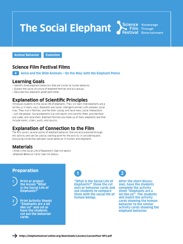 SFF Activity - The Social Elephant1 | PDF | Cognitive Science ...