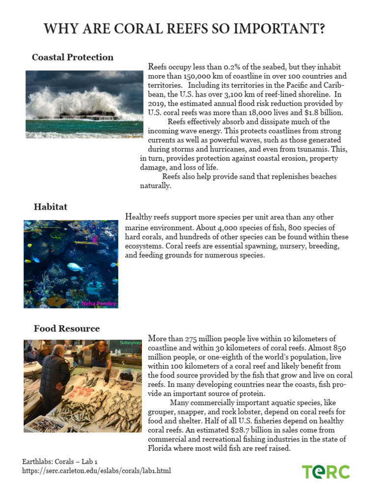 Importance of Coral Reefs Explained | PDF | Coast | Coral Reef