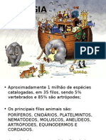 INTRODUÇÃO À ZOOLOGIA, Protistas