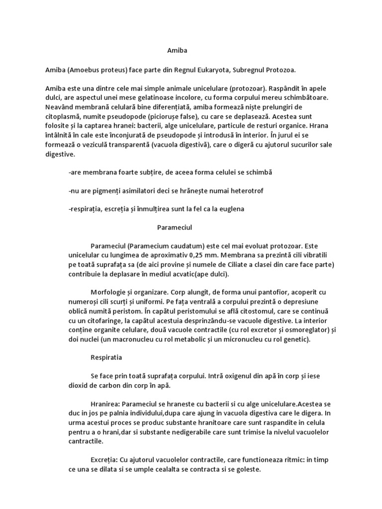Amiba Parameciul | PDF