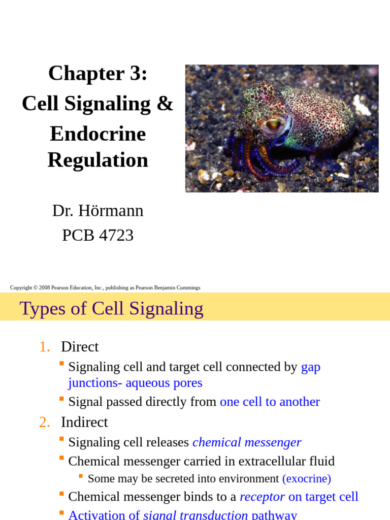 Chapter+3+Cell+Signaling+and+Endocrine+Regulation | PDF | Cell ...