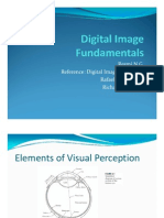 Elements of Visual Perception