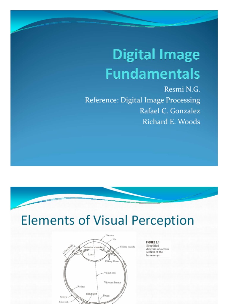 Elements of Visual Perception | PDF | Human Eye | Image Resolution