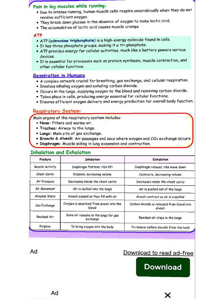 PDFReader 20250516 0942 | PDF