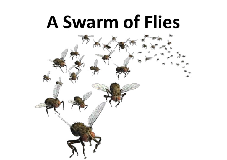 A Swarmp of Flies | PDF