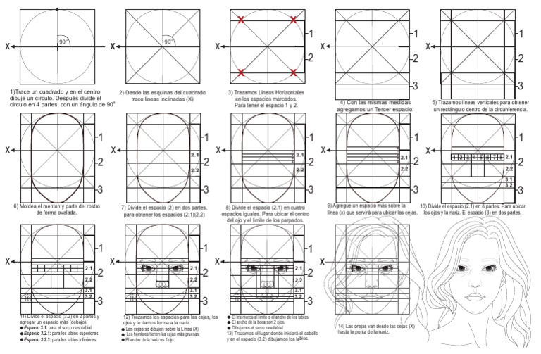 Geometría y Proporciones del Rostro | PDF | Geometría Elemental