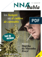 Canna Habla  Nº1