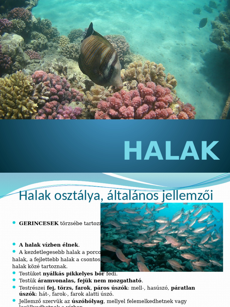 HALAK | PDF