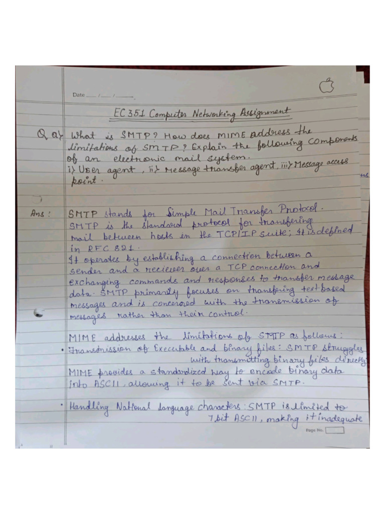 CN Assignment Nishchey Rastogi | PDF