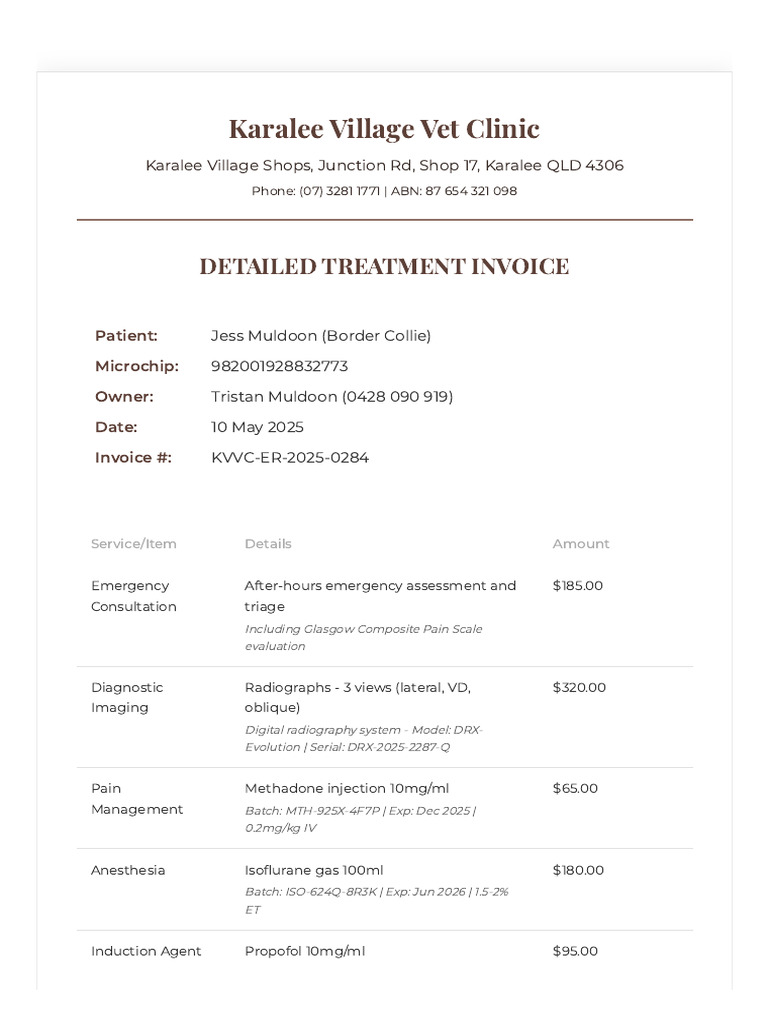 Karalee Vet Clinic Treatment Invoice | PDF | Medicine | Medical Specialties