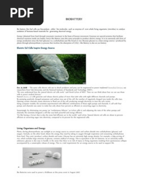 Bio Battery Seminar Report Pdf