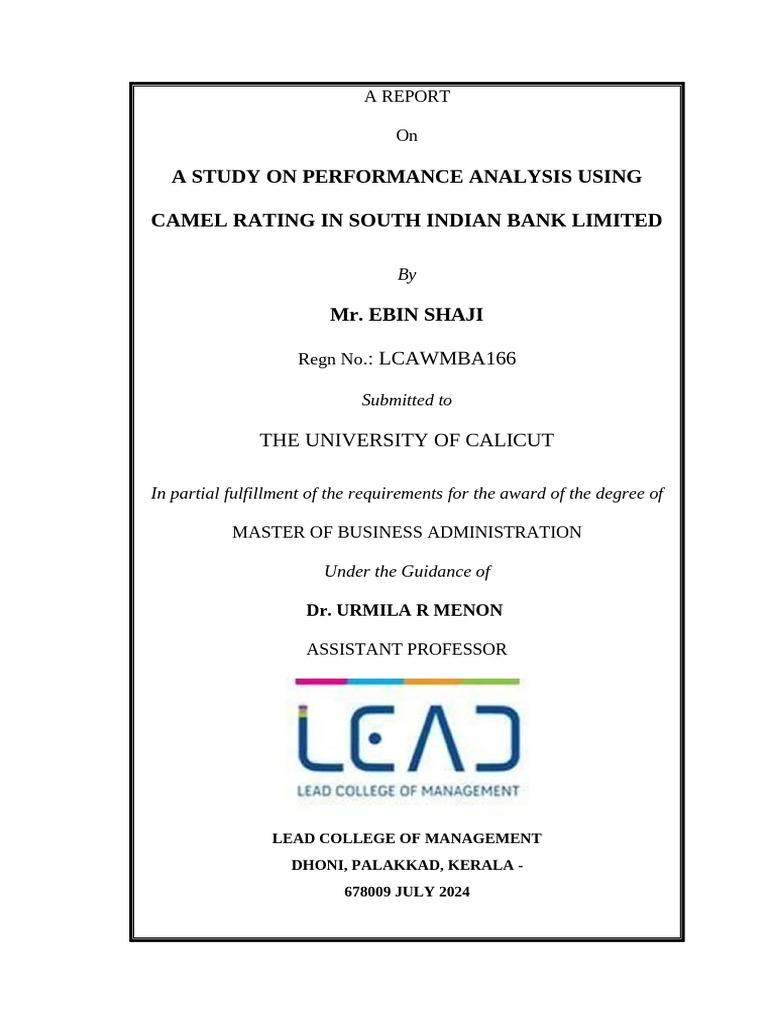 Final project 2024 | PDF | Banks | Basel Iii