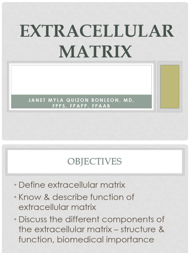 Lecture INST-100957 2025 04 17 20 46 06 | PDF | Extracellular Matrix ...