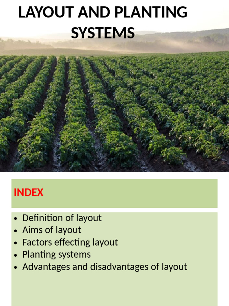 Orchard Planting Systems Overview | PDF | Plantation | Orchard