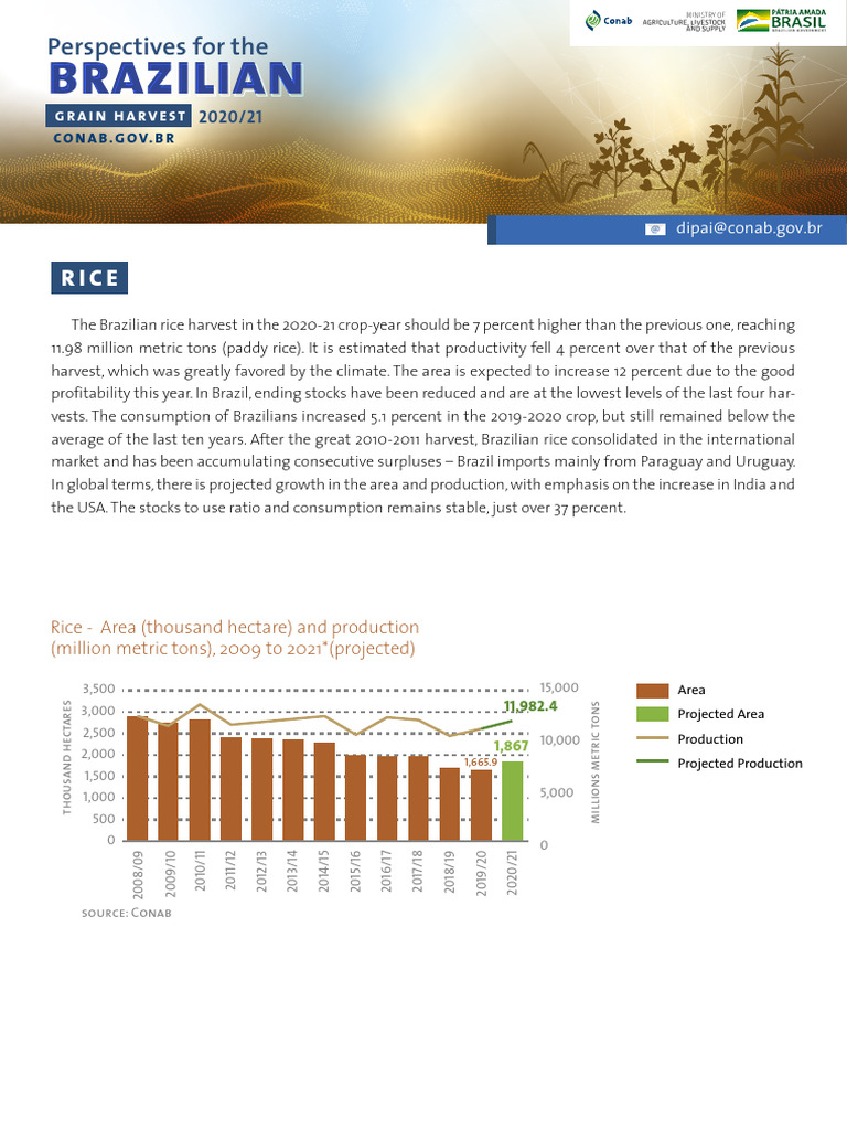 Brazilian: Perspectives For The | PDF | Agriculture | Brazil