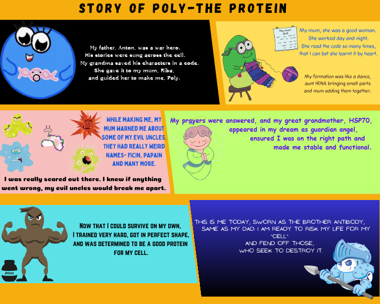 Story of Poly - The Protein | PDF